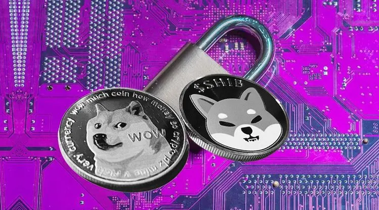 future of dogecoin and shib